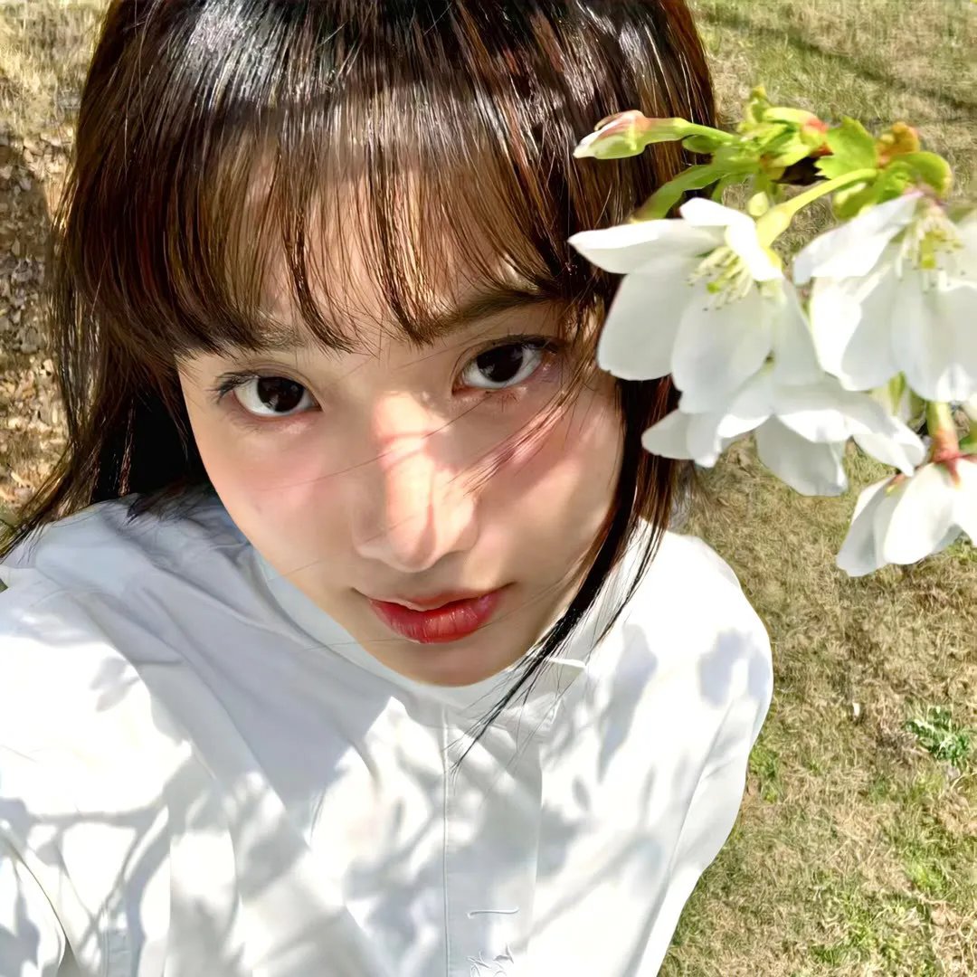 竞选风云
